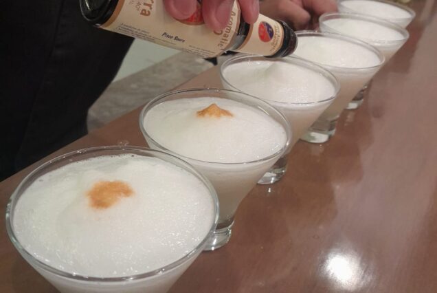 Pisco Sour Experience: Craft, Mix and Sip in Lima, Peru